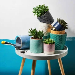 Top 10 🛒 BUTLERS BLOOMY Blumentopf Ø14cm 👍 9 Top 10 🛒 BUTLERS BLOOMY Blumentopf Ø14cm 👍 -BUTLERS Store unnamed file 1494