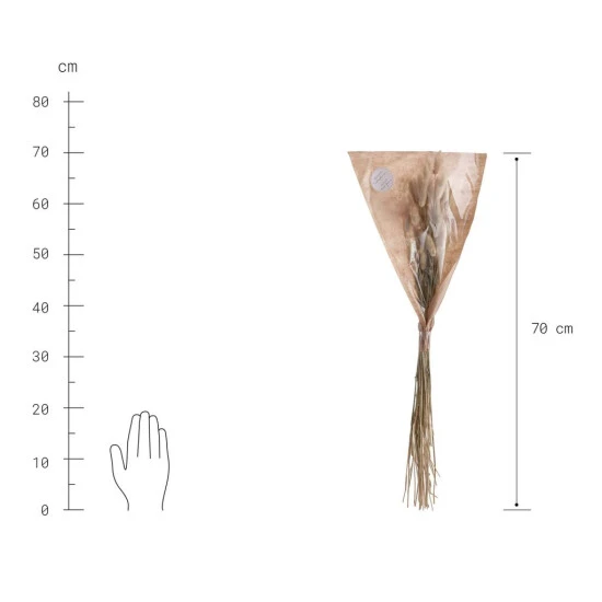 Coupon 🎉 BUTLERS FLOWER MARKET Trockenblumen Lagurusgras Länge 70cm 🛒 5 Coupon 🎉 BUTLERS FLOWER MARKET Trockenblumen Lagurusgras Länge 70cm 🛒 – Bild 3