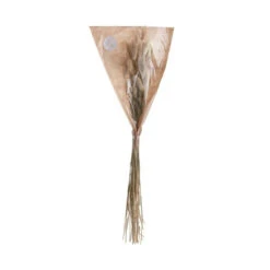 Coupon 🎉 BUTLERS FLOWER MARKET Trockenblumen Lagurusgras Länge 70cm 🛒 9 Coupon 🎉 BUTLERS FLOWER MARKET Trockenblumen Lagurusgras Länge 70cm 🛒 -BUTLERS Store unnamed file 152