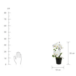 Angebote 🔔 BUTLERS FLORISTA Orchidee Im Topf 35 Cm 🧨 -BUTLERS Store unnamed file 1702