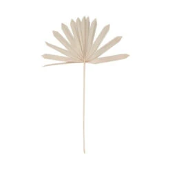 Angebote ✔️ BUTLERS FLOWER MARKET Trockenblumen Palmblatt 4 Stück ✔️ 8 Angebote ✔️ BUTLERS FLOWER MARKET Trockenblumen Palmblatt 4 Stück ✔️ -BUTLERS Store unnamed file 173