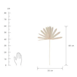 Angebote ✔️ BUTLERS FLOWER MARKET Trockenblumen Palmblatt 4 Stück ✔️ 9 Angebote ✔️ BUTLERS FLOWER MARKET Trockenblumen Palmblatt 4 Stück ✔️ -BUTLERS Store unnamed file 174