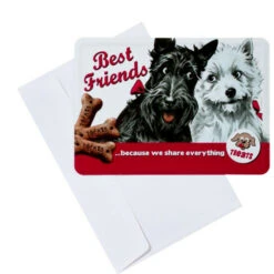 Coupon 🔔 BUTLERS PAST PERFECT Blechpostkarte Best Friends 👍 -BUTLERS Store unnamed file 2862