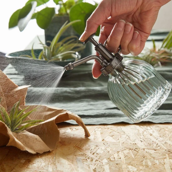 Bestes Angebot ✔️ BUTLERS BOTANIC Pflanzensprüher 200ml 🎁 4 Bestes Angebot ✔️ BUTLERS BOTANIC Pflanzensprüher 200ml 🎁 – Bild 2