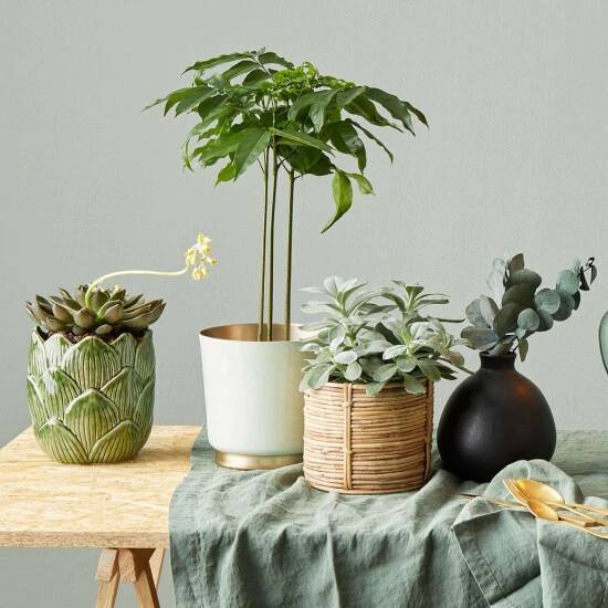 Großhandel 👍 BUTLERS MIO Vase Höhe 16cm 🧨 8 Großhandel 👍 BUTLERS MIO Vase Höhe 16cm 🧨 – Bild 6