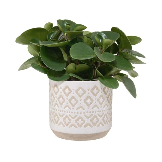 Aktion 🔥 BUTLERS ETHNO Blumentopf Ø18cm ✨ 4 Aktion 🔥 BUTLERS ETHNO Blumentopf Ø18cm ✨ – Bild 2