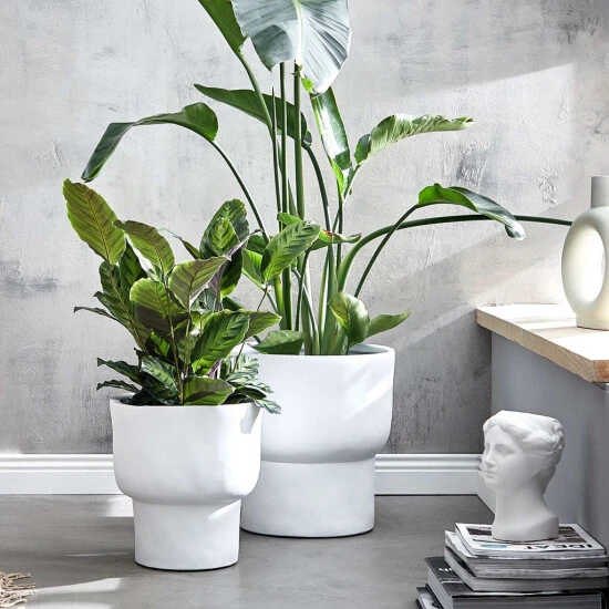 Coupon ✨ BUTLERS LOFT Pflanztopf Ø31cm 😍 4 Coupon ✨ BUTLERS LOFT Pflanztopf Ø31cm 😍 – Bild 2