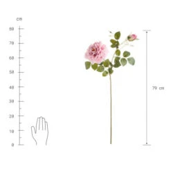 Am billigsten 🔔 BUTLERS FLORISTA Rose Höhe 79cm 🎉 -BUTLERS Store unnamed file 4275