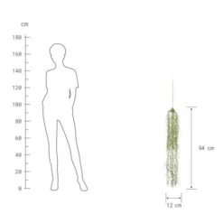 Budget ✔️ BUTLERS FLORISTA Hängepflanze Höhe 94cm 😀 -BUTLERS Store unnamed file 4286