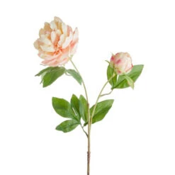 Schlussverkauf 🧨 BUTLERS FLORISTA Pfingstrose Höhe 71cm ✨ -BUTLERS Store unnamed file 4312