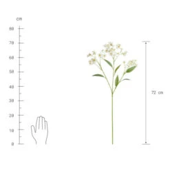 Bestes Angebot 🎁 BUTLERS FLORISTA Blütenzweig Daphne Höhe 72cm 👏 7 Bestes Angebot 🎁 BUTLERS FLORISTA Blütenzweig Daphne Höhe 72cm 👏 -BUTLERS Store unnamed file 4319