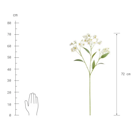 Bestes Angebot 🎁 BUTLERS FLORISTA Blütenzweig Daphne Höhe 72cm 👏 5 Bestes Angebot 🎁 BUTLERS FLORISTA Blütenzweig Daphne Höhe 72cm 👏 – Bild 3