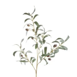 Beste Bewertungen von 🔔 BUTLERS FLORISTA Olivenzweig Höhe 48cm 🛒 -BUTLERS Store unnamed file 4321