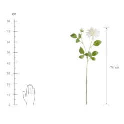 Bestes Angebot 💯 BUTLERS FLORISTA Dahlie Höhe 74cm 🌟 -BUTLERS Store unnamed file 4325