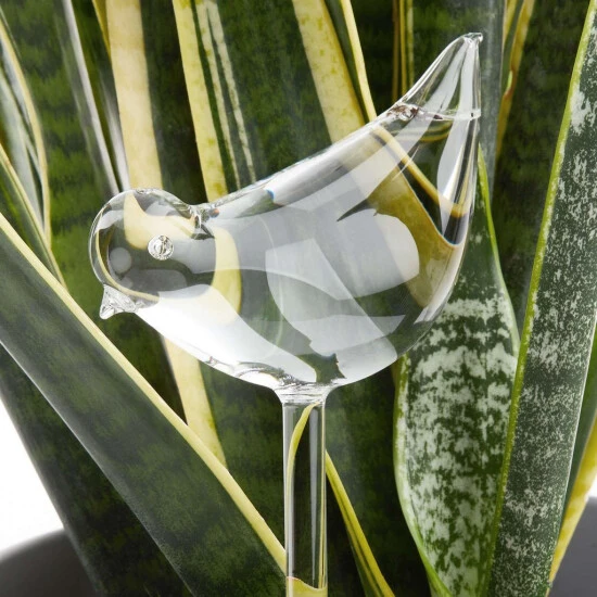 Brandneu 🔔 BUTLERS RAINDROPS Bewässerungsvogel Höhe 20cm 👏 4 Brandneu 🔔 BUTLERS RAINDROPS Bewässerungsvogel Höhe 20cm 👏 – Bild 2