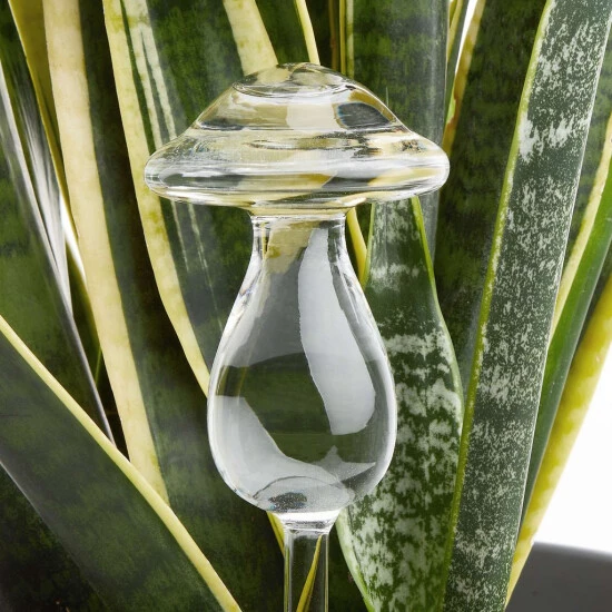 Bester Verkauf 👏 BUTLERS RAINDROPS Bewässerungspilz Höhe 22cm 💯 4 Bester Verkauf 👏 BUTLERS RAINDROPS Bewässerungspilz Höhe 22cm 💯 – Bild 2