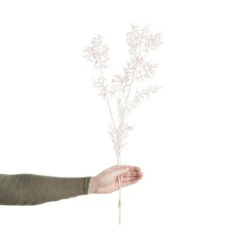 Brandneu 🔔 BUTLERS FLOWER MARKET Trockenblumen Ruscus Länge 65cm 🥰