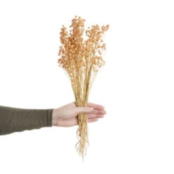 Top 10 🧨 BUTLERS FLOWER MARKET Trockenblumen Linium Länge 50cm 😀