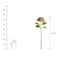 Schlussverkauf ✨ BUTLERS FLORISTA Hortensie Länge 66cm 🎉 -BUTLERS Store unnamed file 4518