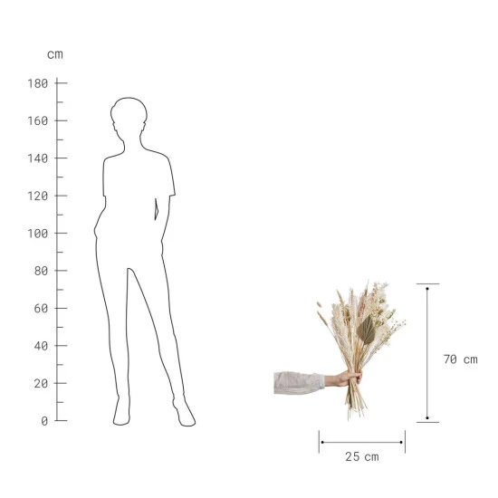 Beste Bewertungen von ✔️ BUTLERS FLOWER MARKET Trockenblumen Blumenstrauß White 👏 5 Beste Bewertungen von ✔️ BUTLERS FLOWER MARKET Trockenblumen Blumenstrauß White 👏 – Bild 3