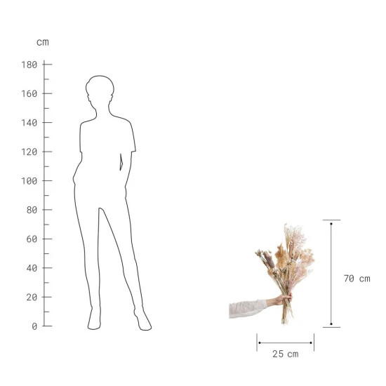 Billig 😉 BUTLERS FLOWER MARKET Trockenblumen Blumenstrauß Blush 😀 5 Billig 😉 BUTLERS FLOWER MARKET Trockenblumen Blumenstrauß Blush 😀 – Bild 3