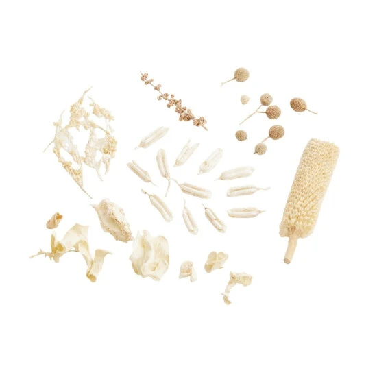 Beste Bewertungen von 🧨 BUTLERS FLOWER MARKET Blüten-Mix 😀 4 Beste Bewertungen von 🧨 BUTLERS FLOWER MARKET Blüten-Mix 😀 – Bild 2