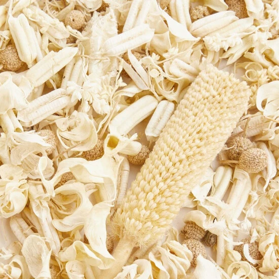 Beste Bewertungen von 🧨 BUTLERS FLOWER MARKET Blüten-Mix 😀 5 Beste Bewertungen von 🧨 BUTLERS FLOWER MARKET Blüten-Mix 😀 – Bild 3