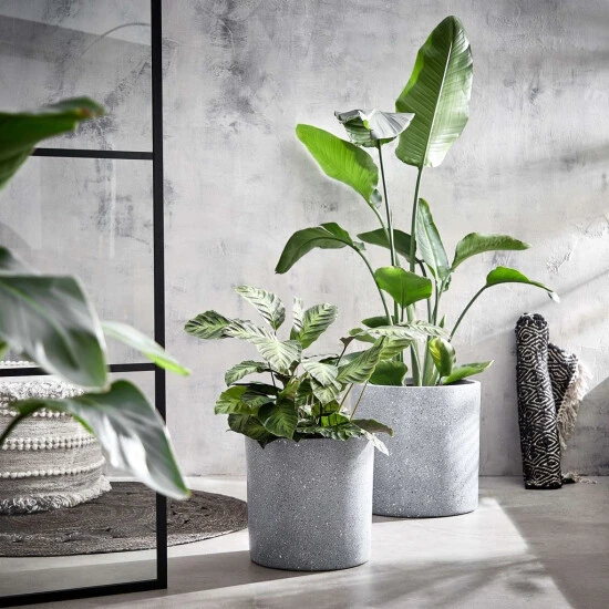 Blitzangebot 👏 BUTLERS CONCRETE Pflanztopf Outdoor Höhe 33cm ✨ 4 Blitzangebot 👏 BUTLERS CONCRETE Pflanztopf Outdoor Höhe 33cm ✨ – Bild 2