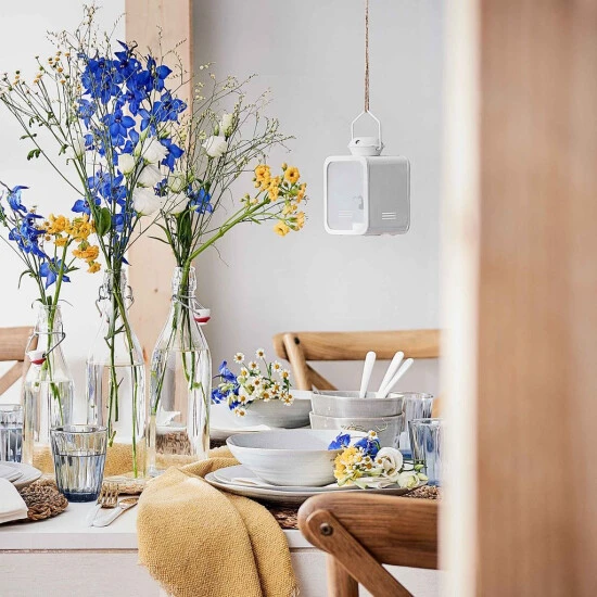 Billig ❤️ BUTLERS SWING Flasche Mit Bügelverschluss 1000ml 💯 4 Billig ❤️ BUTLERS SWING Flasche Mit Bügelverschluss 1000ml 💯 – Bild 2