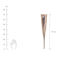 Blitzangebot ⌛ BUTLERS FLOWER MARKET Trockenblumen Pampasgras Länge 70cm 🎁 -BUTLERS Store unnamed file 4808