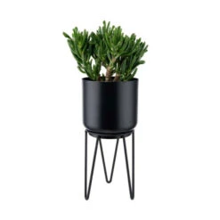 Coupon ⭐ BUTLERS PLANTA Pflanztopf Mit Gestell Höhe 28cm ⭐ -BUTLERS Store unnamed file 499