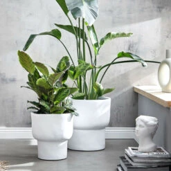 Billig 🌟 BUTLERS APHRODITE Vase Höhe 18cm ❤️ -BUTLERS Store unnamed file 755